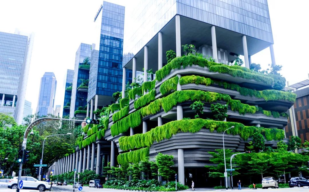 依拉勃受邀参加中国绿色建筑标准发展峰会